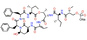 Symplostatin 7
